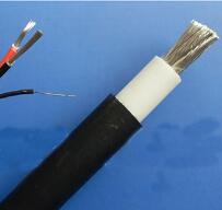 WDZ-DCK，WDZ-DCKP-125，DCEVM機車電纜